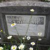 Petri Erna Rosa 1908-1992 Grabstein
